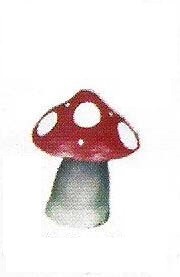 COGUMELO M