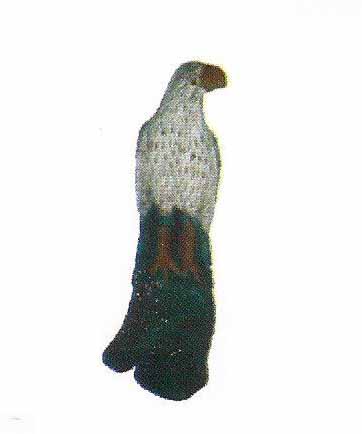 GAVIAO