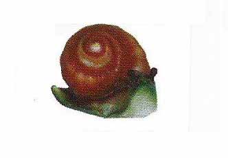 CARACOL - NUMERO 1